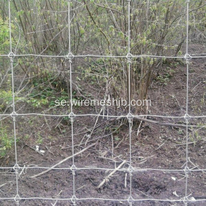 Cattle Fence-Hot Dipped Galvaniserat Field Fence